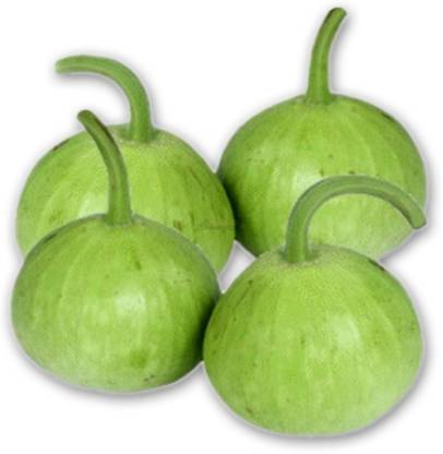 Gourd (লাউ)